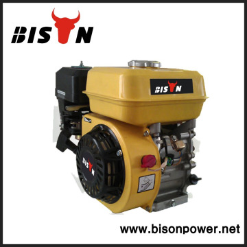 BISON (CHINA) Zhejiang kleinen elektrischen Generator Motor